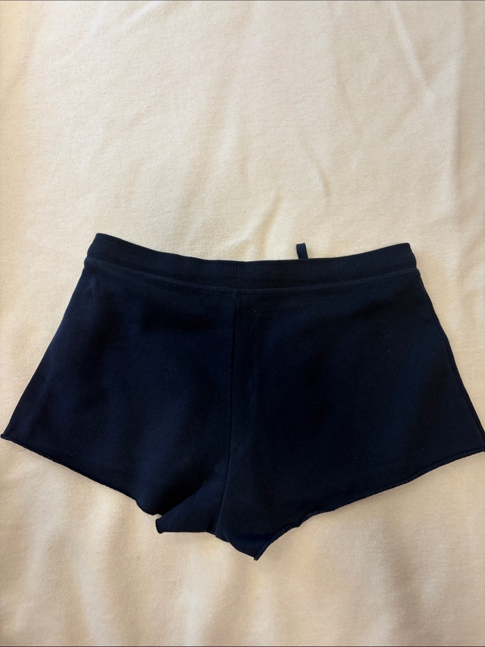 Discontinued Hollister Navy Blue Fleece Shorts with Embroidery - Picture 2 of 4